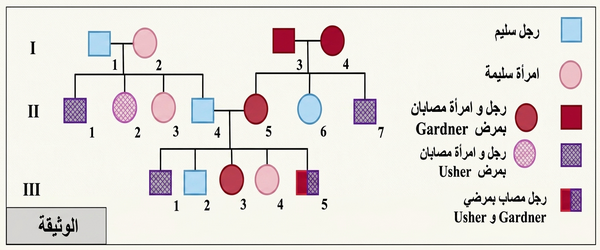  الوثيقة: شجرة نسب العائلة (الأجيال I, II, III).