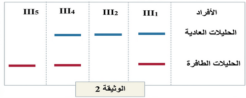    تحليل ADN حليلي المورثة المدروسة
