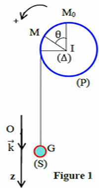    Figure 1: Système Poulie-Masse