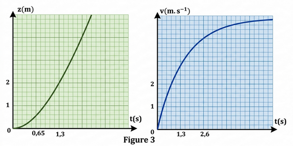 La variation de la vitesse v et celle de la cote z en fonction du temps
tant que la balle est dans l’huile .    