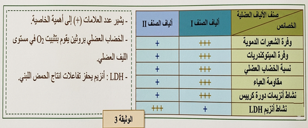 Doc 3