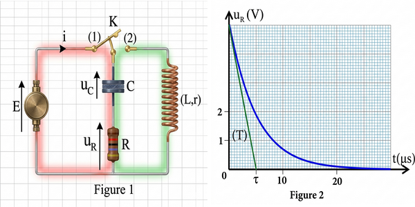 Fig Ex4