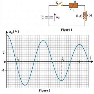 Fig Ex4