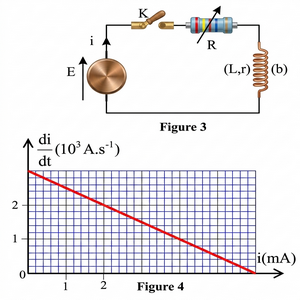 Fig Ex4B