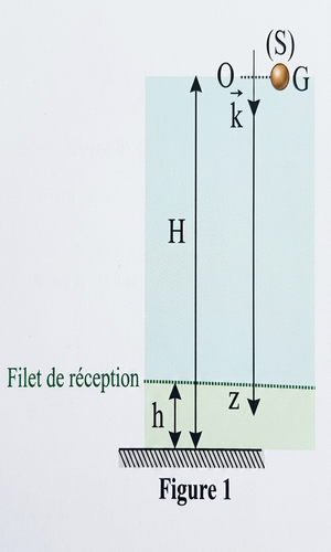 Schéma du saut vertical et axes de coordonnées - Figure 1