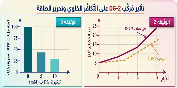 الوثيقة 2: تتبع عدد الخلايا السرطانية بوجود وفي غياب DG-2-الوثيقة 3: كمية ATP المحررة حسب تركيز DG-2
