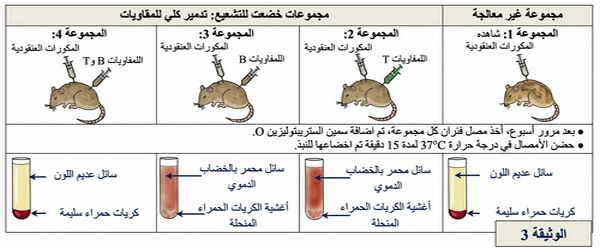 الوثيقة 4: تطور اللمفاويات والبلزميات وتركيز ASLO