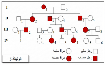 الوثيقة 5: شجرة نسب العائلة