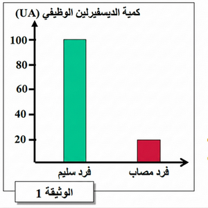 الوثيقة 1