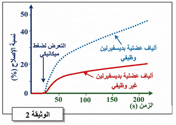 الوثيقة 2