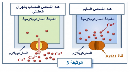 الوثيقة 3