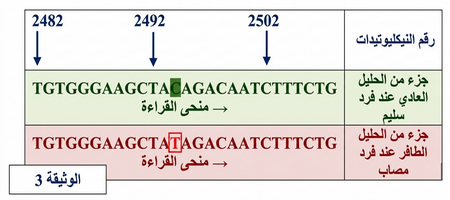 الوثيقة 3