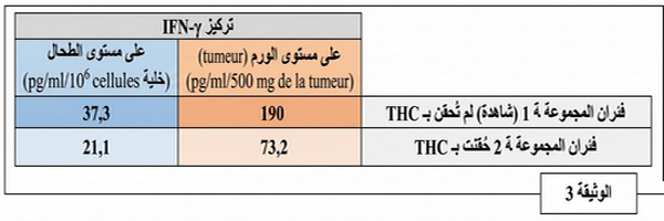 الوثيقة 3