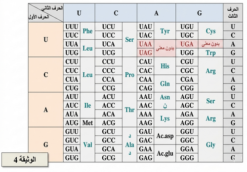 الوثيقة   4