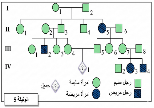 الوثيقة 5