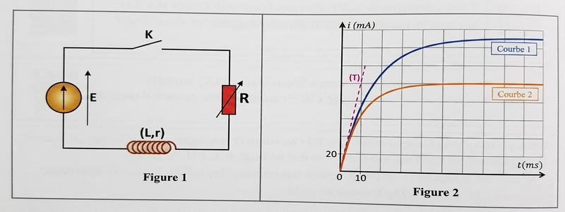 Schéma du montage RL figure 1