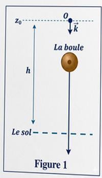 Schéma de la chute libre figure 1