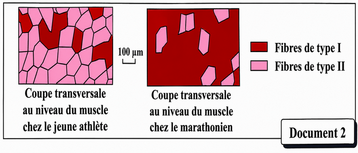 Document 2