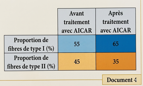 Document 4
