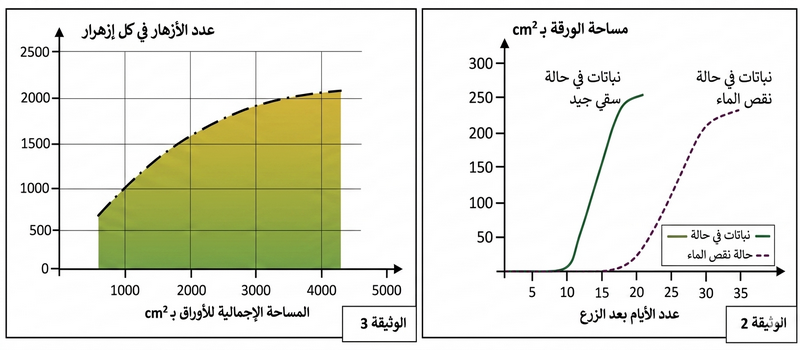 الوثيقة 2: تطور مساحة الأوراق حسب الزمن (سقي جيد vs نقص الماء) | الوثيقة 3: عدد الأزهار vs مساحة الأوراق