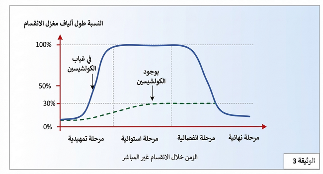    الوثيقة 3: تغير طول ألياف مغزل الانقسام خلال الانقسام غير المباشر في غياب وبوجود الكولشسين