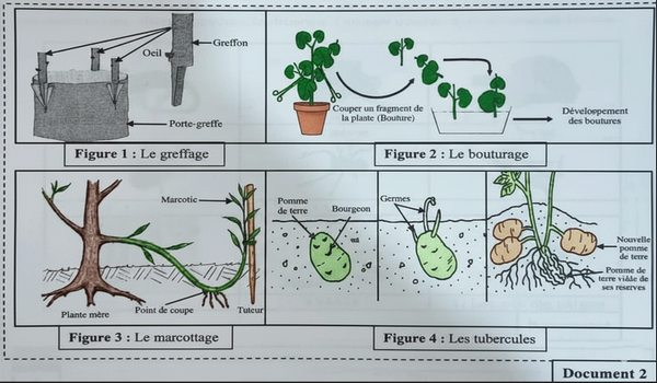 Document 13 - Tableau des vitesses du son